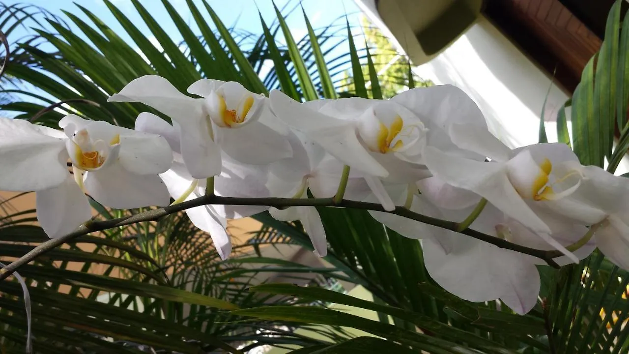 דירה סן חואן Cozybeach Large 1Bdrapt 50 Steps From Atlantic Ocean Private Street Between Ocean Park & Isla Verde 5 Mins From Airport
