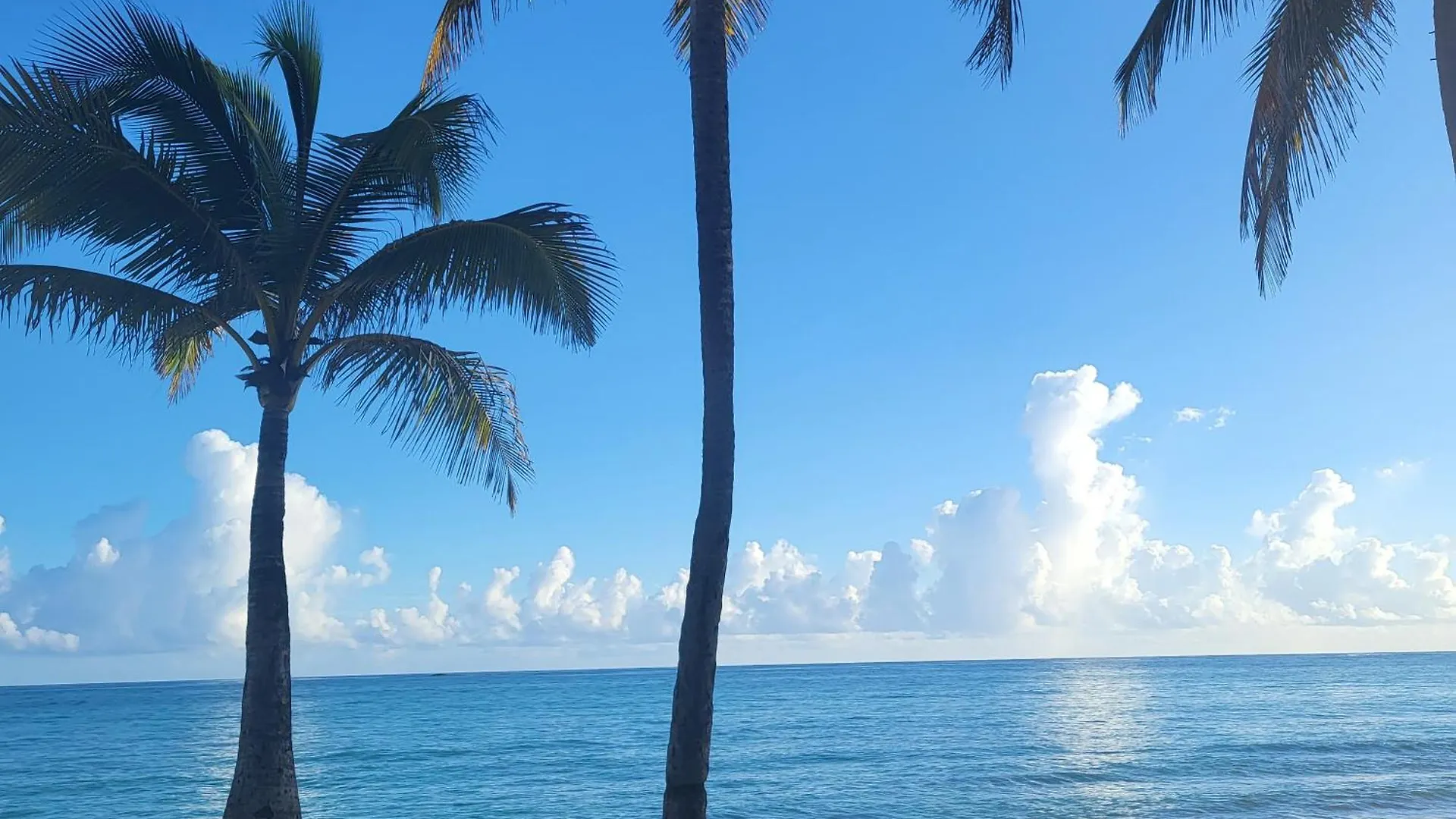 סן חואן Cozybeach Large 1Bdrapt 50 Steps From Atlantic Ocean Private Street Between Ocean Park & Isla Verde 5 Mins From Airport 0*, סן חואן פוארטו ריקו