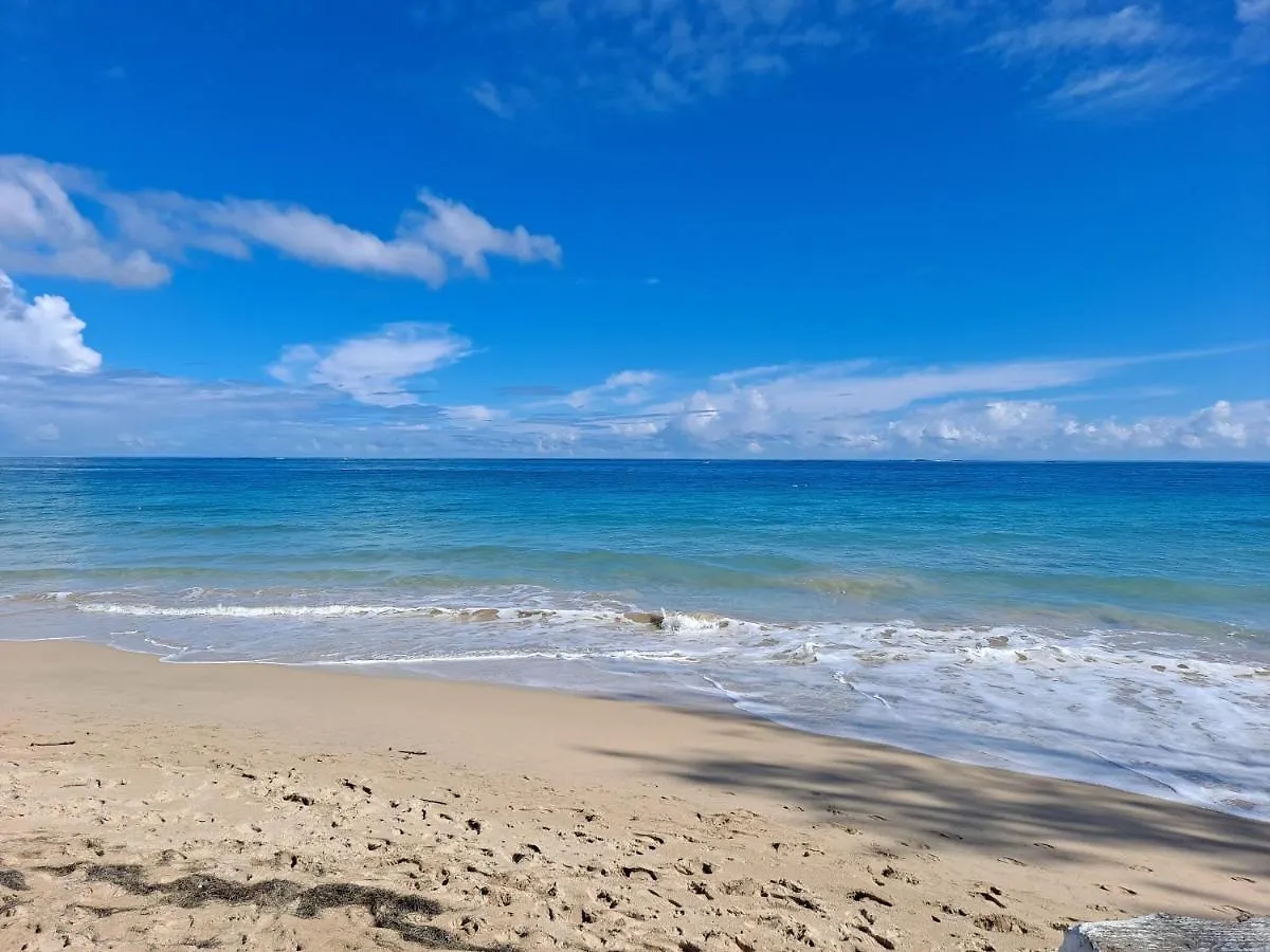Appartement Cozybeach Large 1Bdrapt 50 Steps From Atlantic Ocean Private Street Between Ocean Park & Isla Verde 5 Mins From Airport San Juan Porto Rico